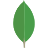 MongoDB Logo